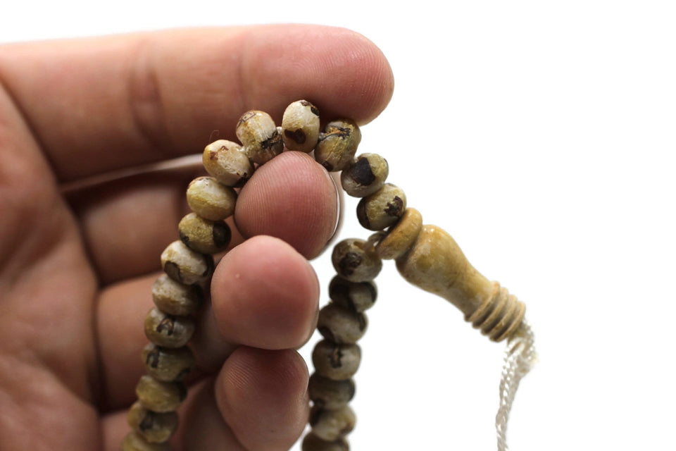 10 Pcs of Date Seed Tasbih with counter, 99 Prayer Beads, Natural Rosary, Tasbih Seed Beads, Misbaha in Bulk, Subha, Sibha, Tasbeeh TSBK