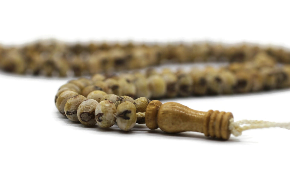 10 Pcs of Date Seed Tasbih with counter, 99 Prayer Beads, Natural Rosary, Tasbih Seed Beads, Misbaha in Bulk, Subha, Sibha, Tasbeeh TSBK
