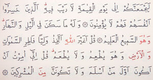 Knjige Kur'ana od baršuna tulipana malih veličina | Moshaf | Koran | Islamska knjiga | Kur'an favorizira | Jedinstveni islamski pokloni | Ramazanski poklon | Islamski pokloni |