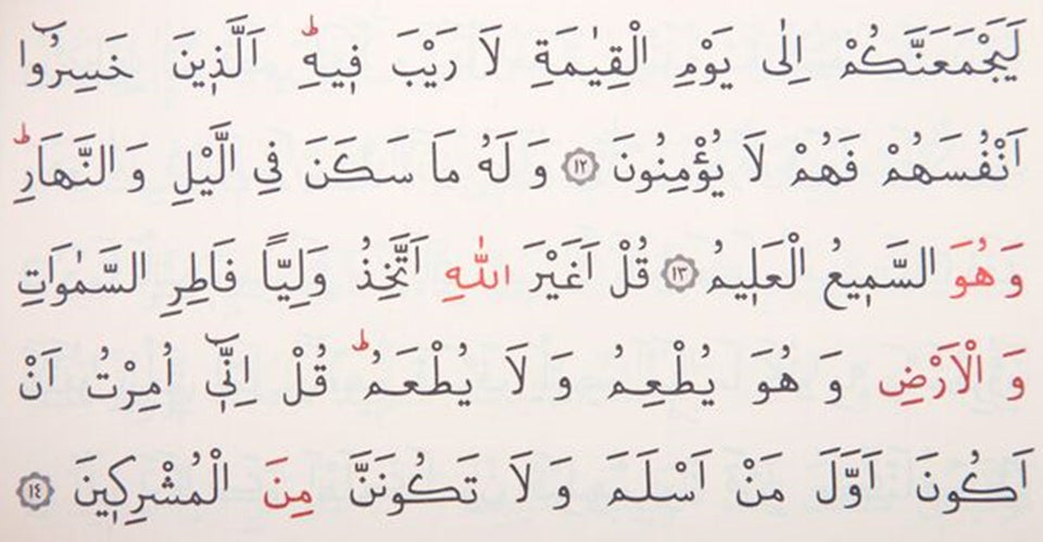 Small Sizes Tulip Velvet Quran Books | Moshaf | Koran | Islamic Book | Quran Favors | Unique Islamic Gifts | Ramadan Gift | Islamic Gifts |