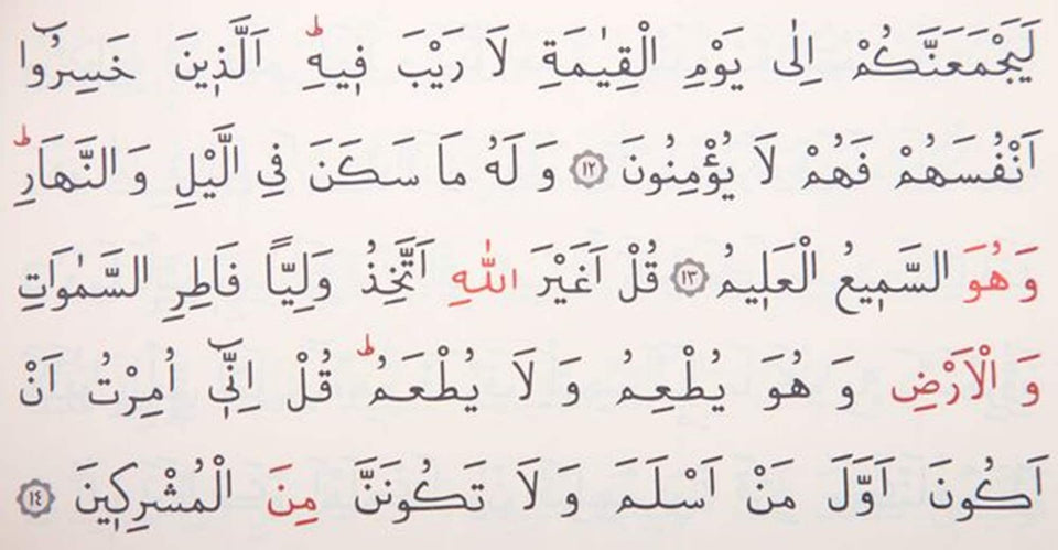 Large Sizes Tulip Velvet Quran Books | Moshaf | Koran | Islamic Book | Quran Favors | Unique Islamic Gifts | Ramadan Gift | Islamic Gifts |